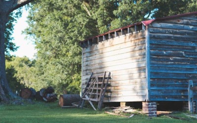 De voordelen van red cedar planken voor duurzaam bouwen
