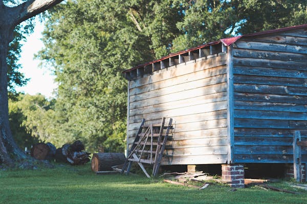 De voordelen van red cedar planken voor duurzaam bouwen
