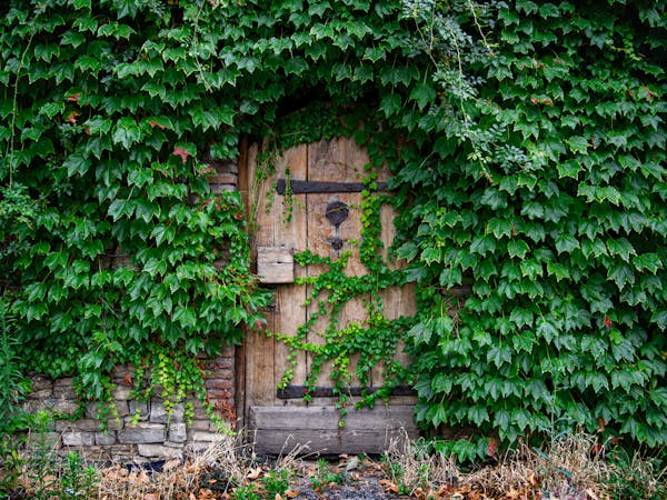 Inspiratie voor moderne tuindeuren: van klassiek tot strak design