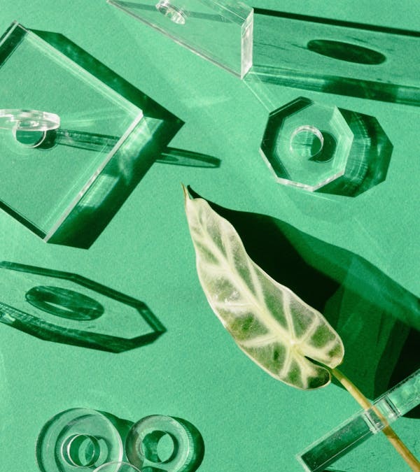 Kunstplanten in je kantoor: een groene oase zonder gedoe